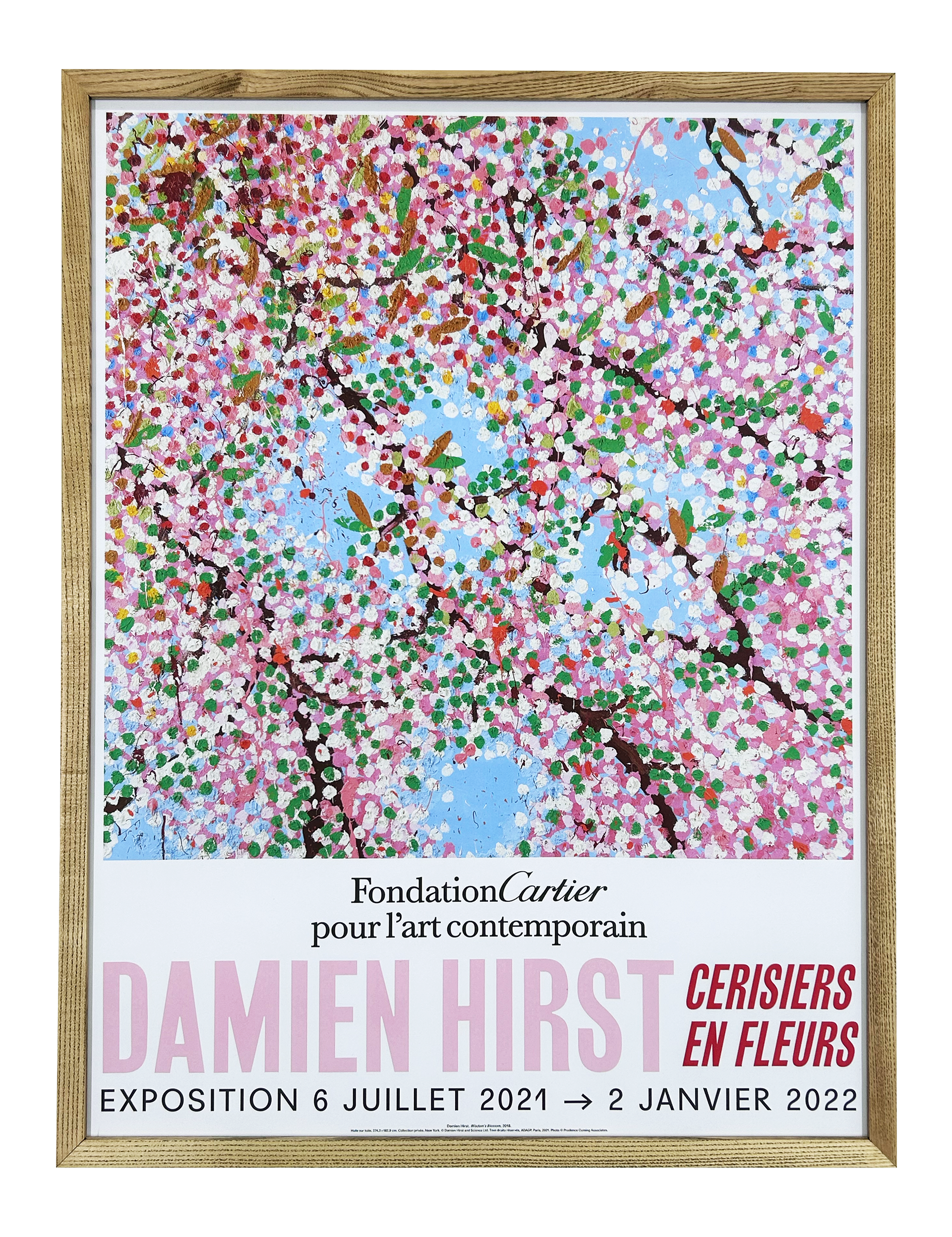 Exhibition at Foundation Cartier - Wonderful World Blossom, 2021 (6)