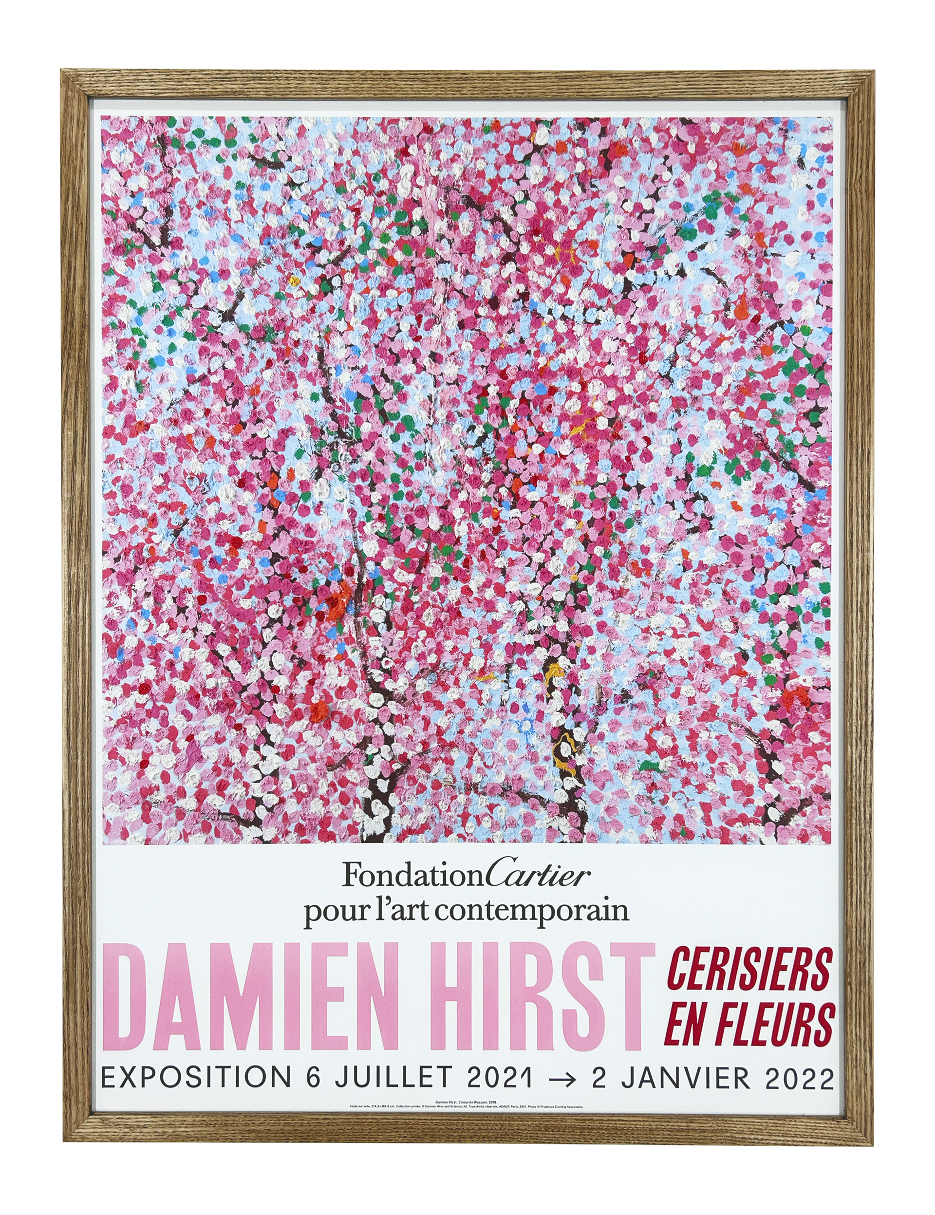 Exhibition at Foundation Cartier - Wonderful World Blossom, 2021 (3)