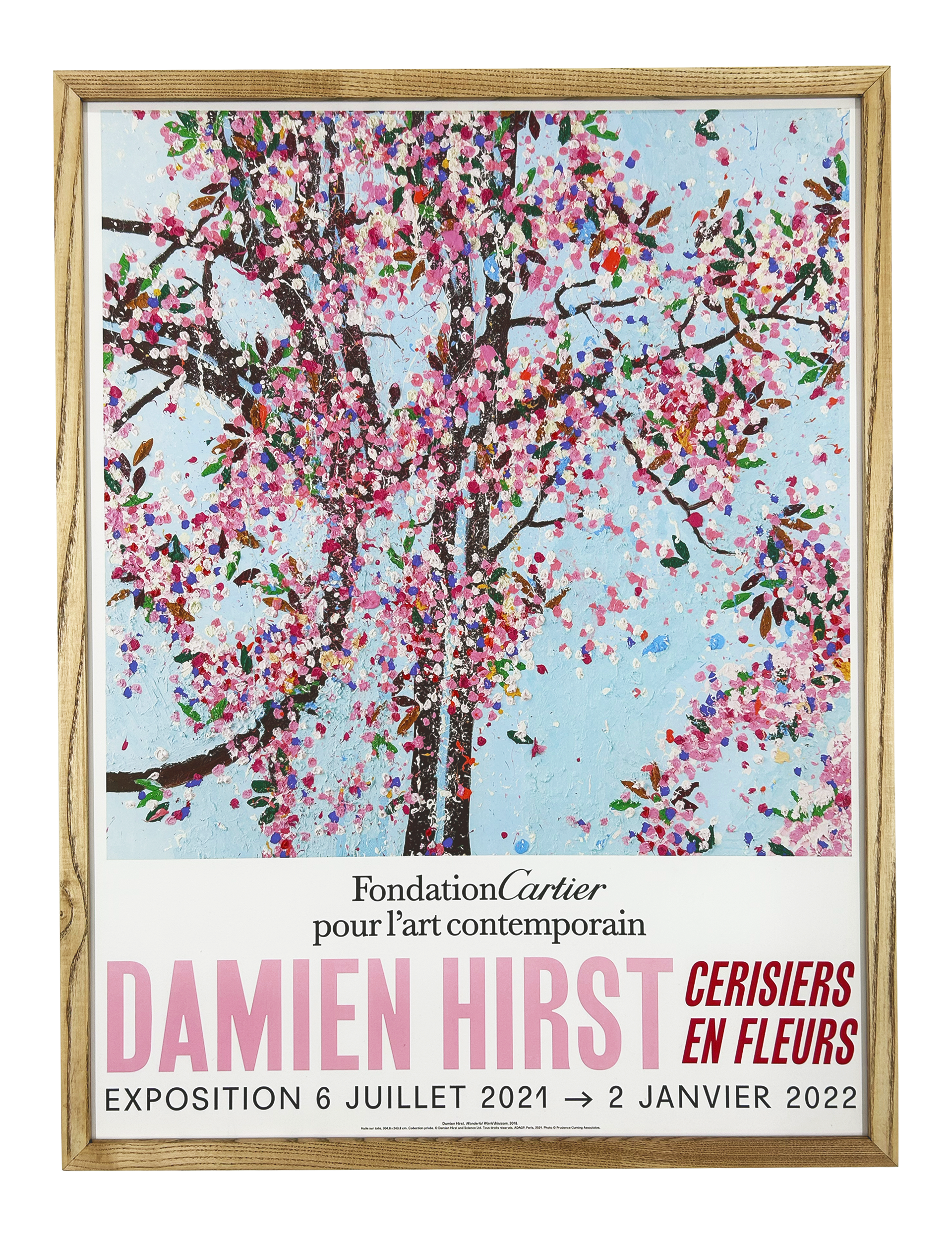 Set of 6, Exhibition at Foundation Cartier - Wonderful World Blossom, 2021