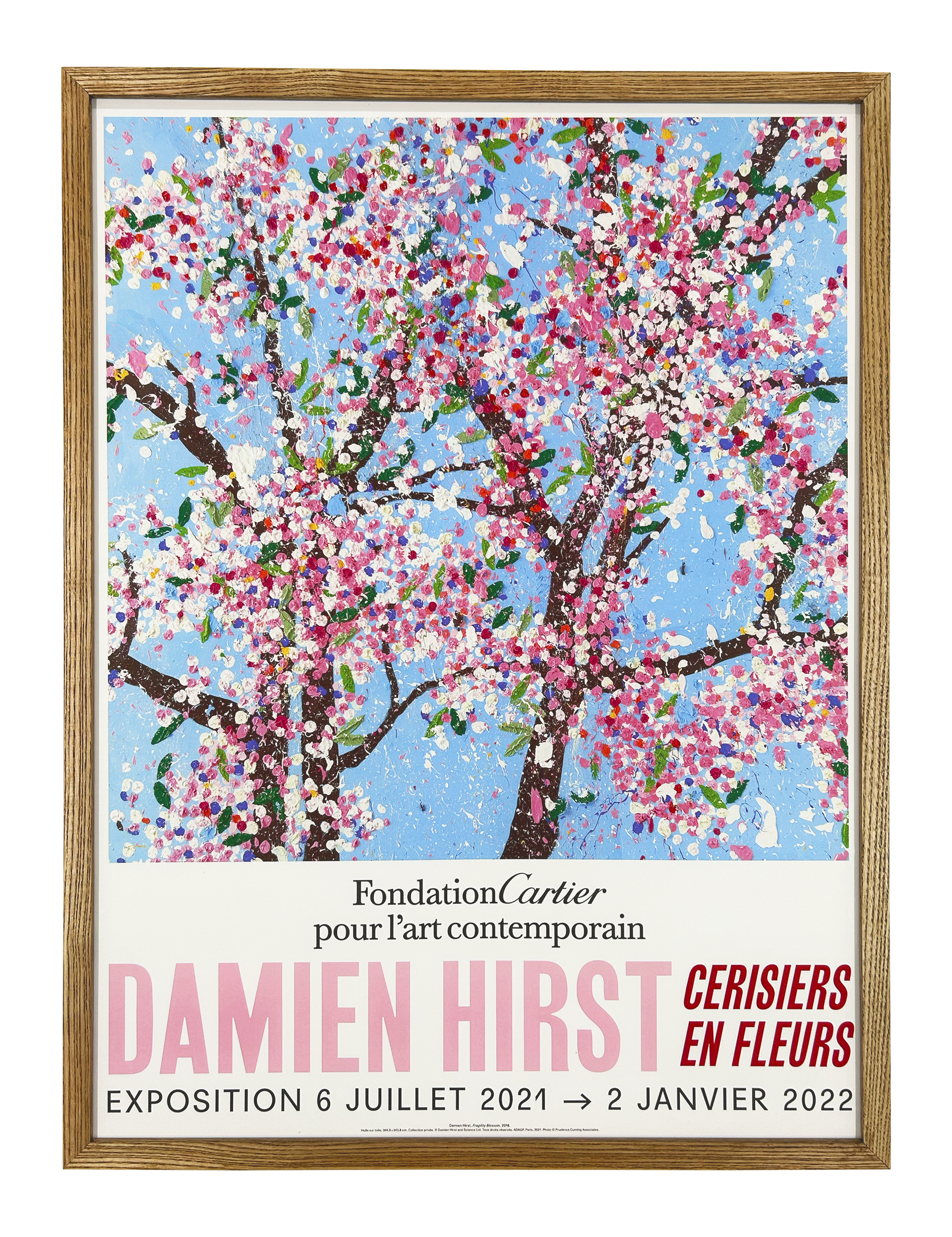 Exhibition at Foundation Cartier - Wonderful World Blossom, 2021 (5)