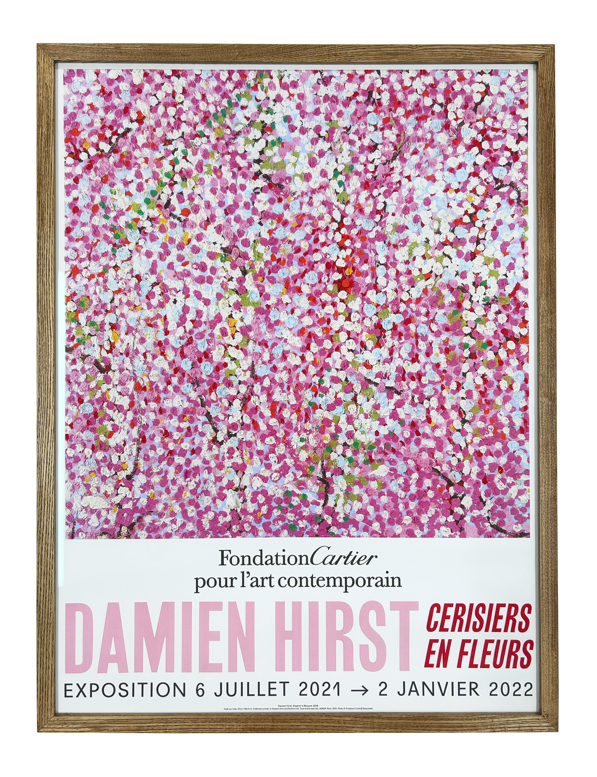 Exhibition at Foundation Cartier - Wonderful World Blossom, 2021 (4)