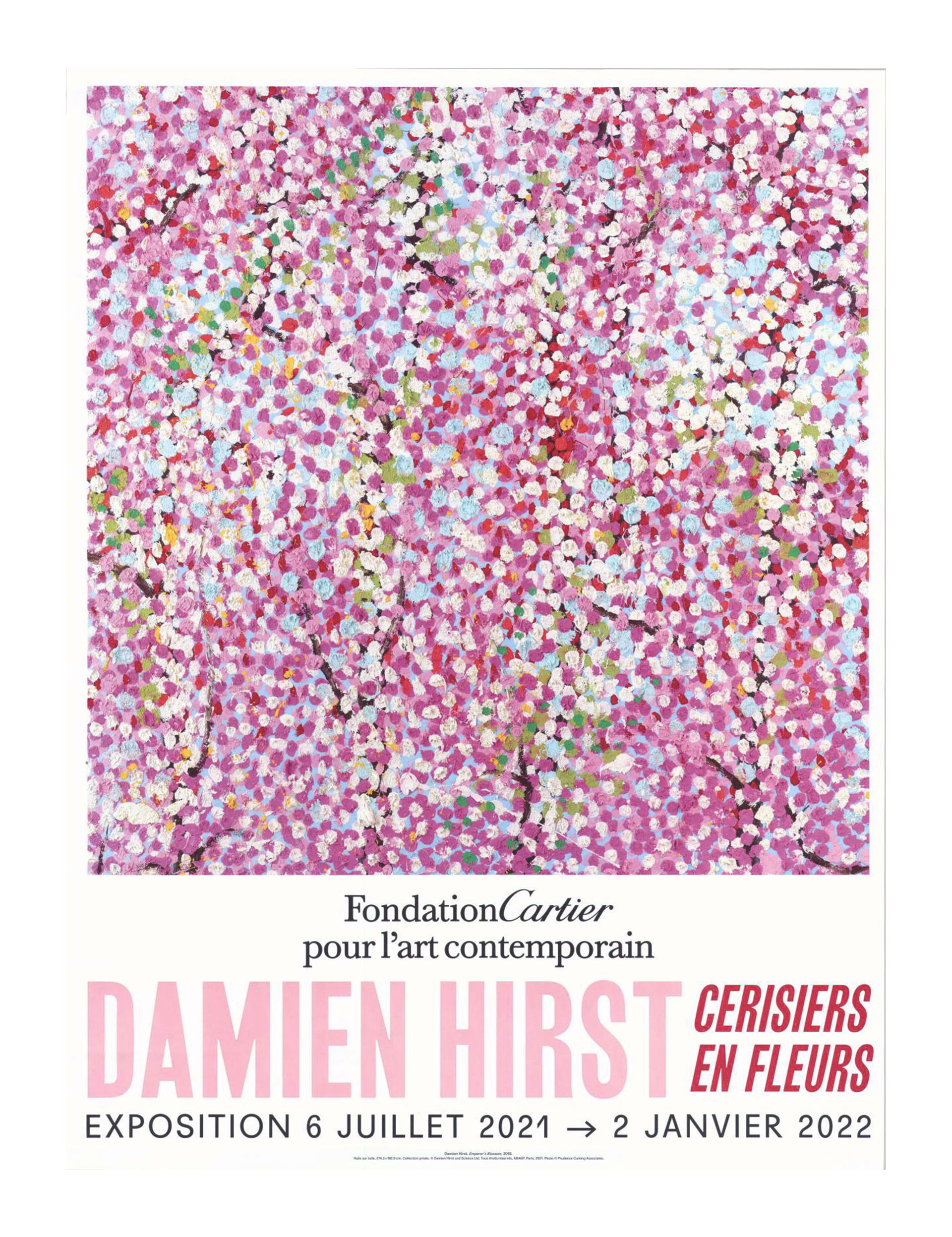 Exhibition at Foundation Cartier - Wonderful World Blossom, 2021 (4)