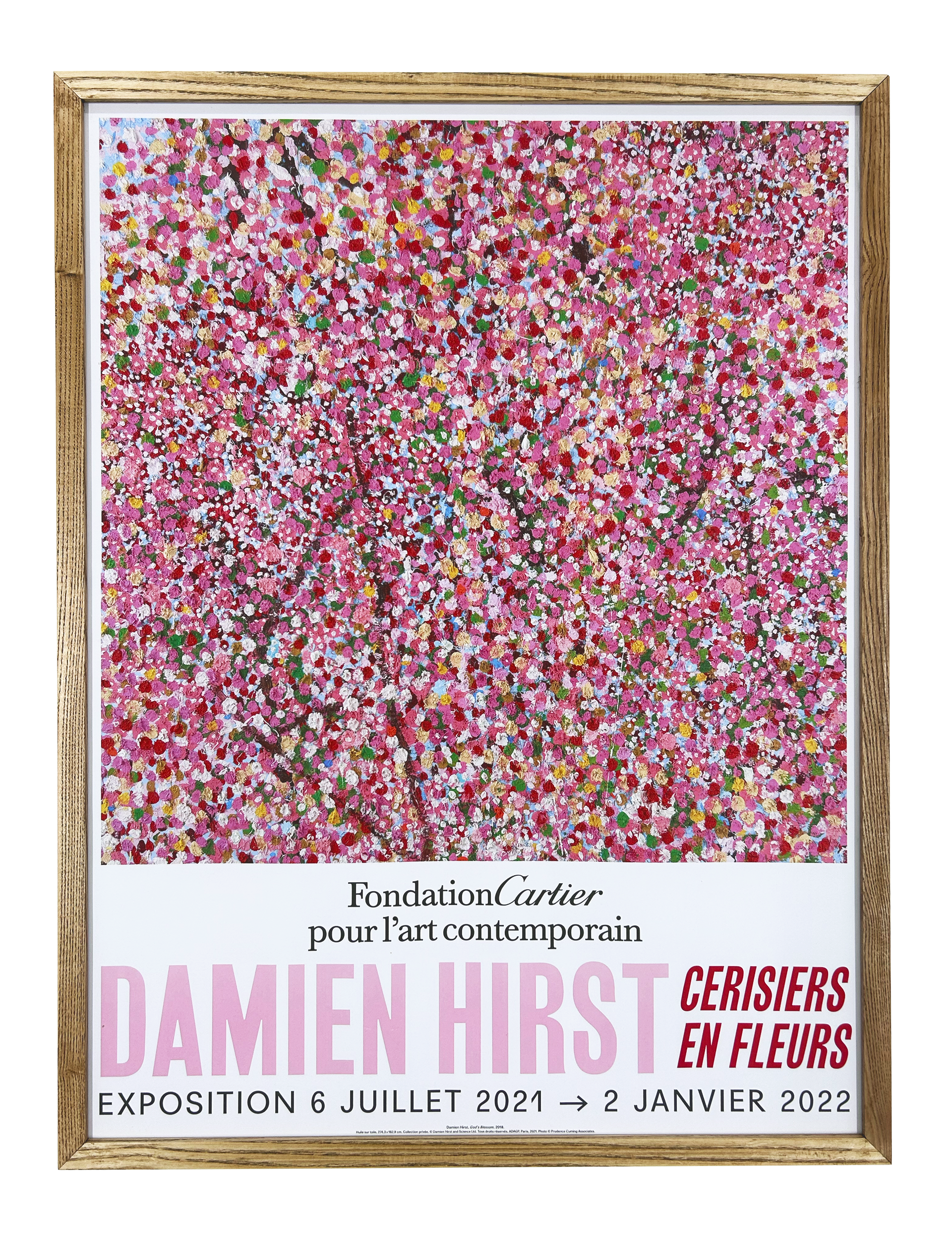 Exhibition at Foundation Cartier - Wonderful World Blossom, 2021 (2)