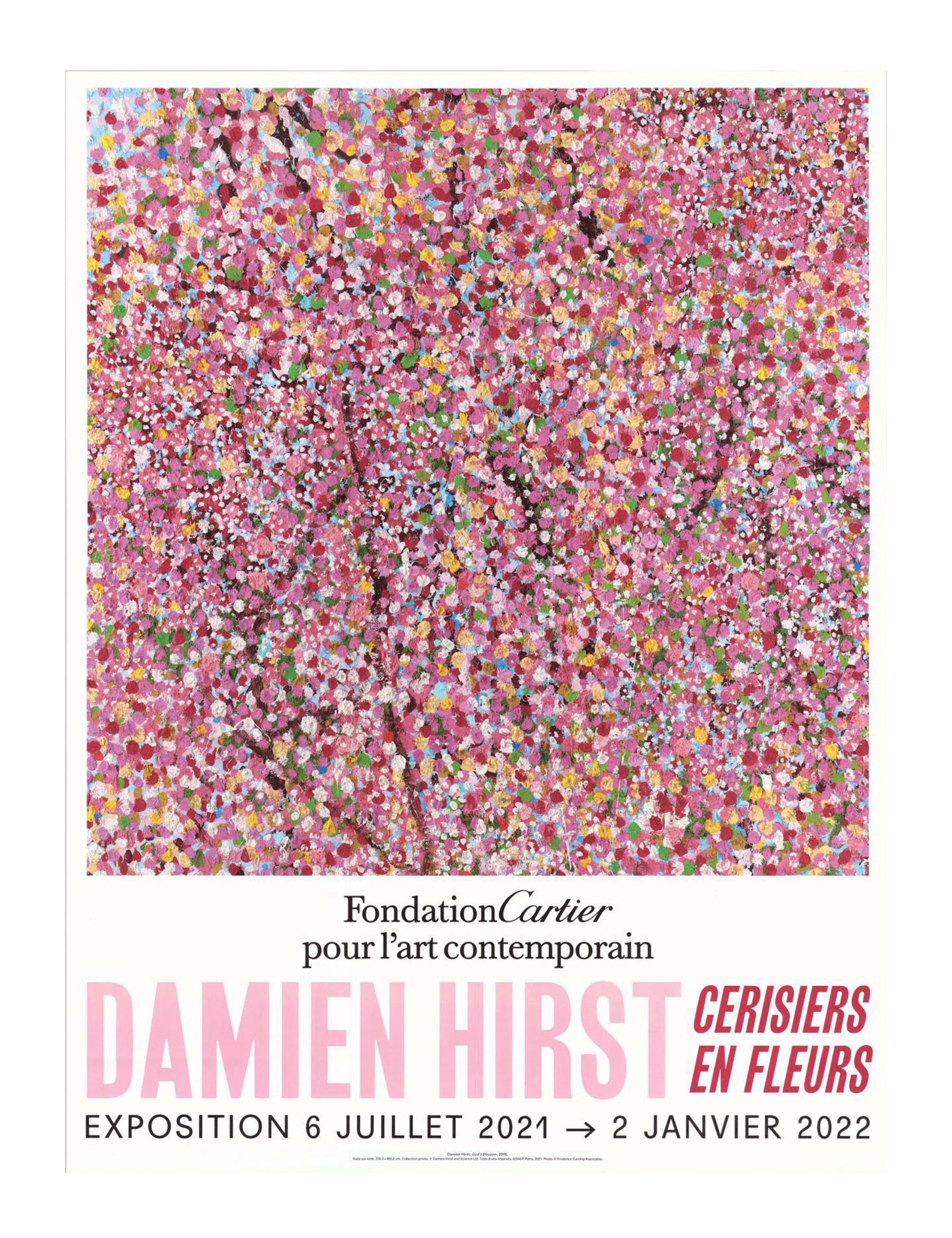 Exhibition at Foundation Cartier - Wonderful World Blossom, 2021 (2)