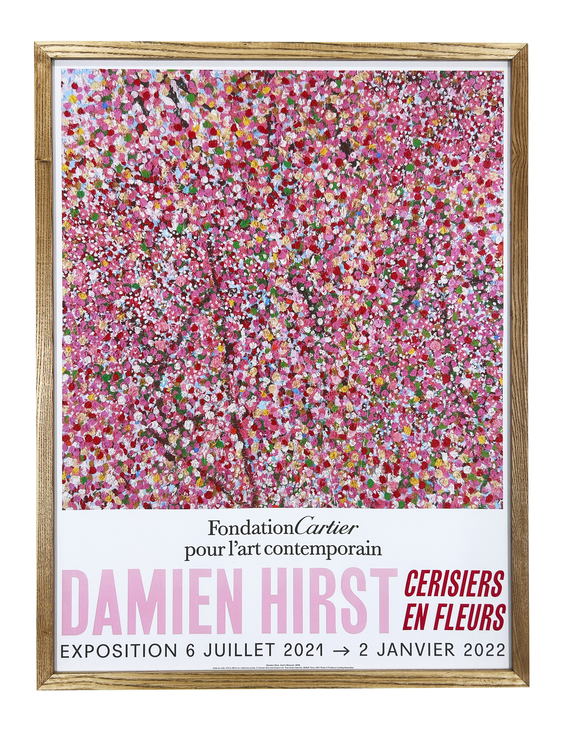 Set of 6, Exhibition at Foundation Cartier - Wonderful World Blossom, 2021