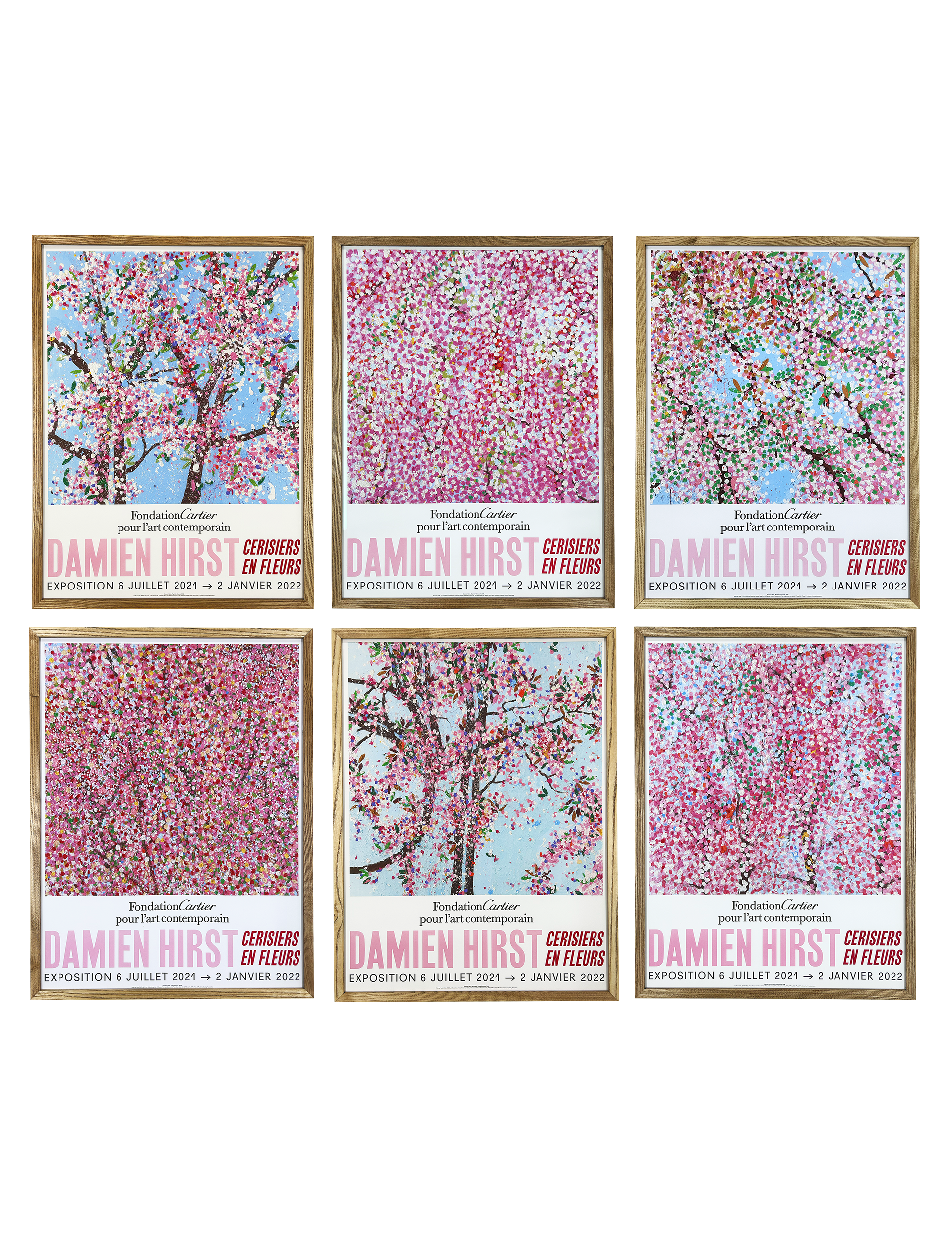 Set of 6, Exhibition at Foundation Cartier - Wonderful World Blossom, 2021