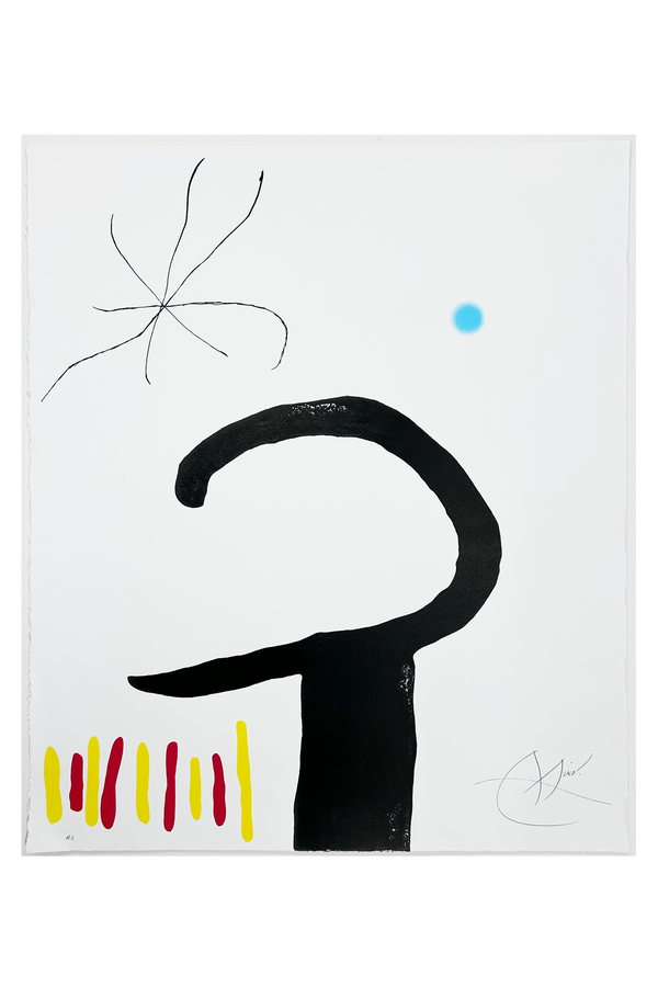 Spanish Garden with Star, 1975